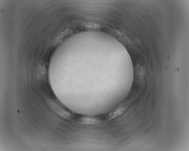 X0000081310614200701251744