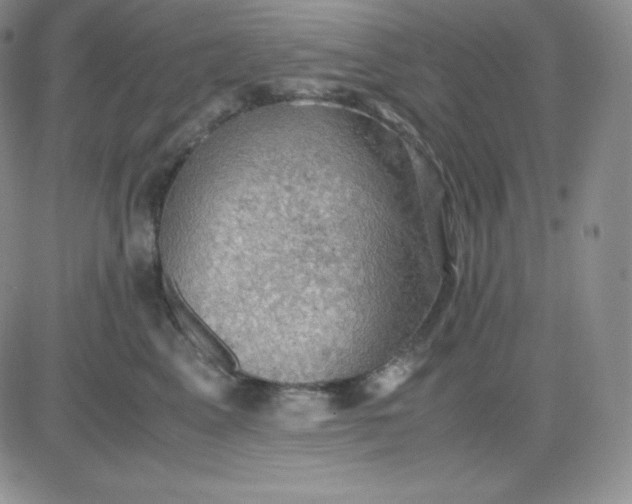 X0000081310617200701251744