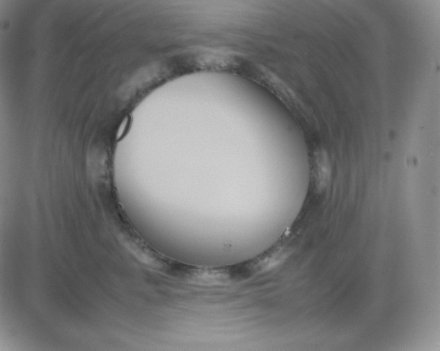 X0000081310619200701251744