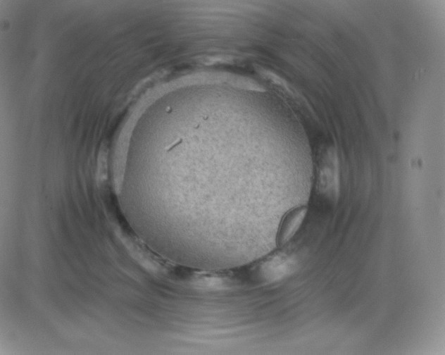 X0000081310620200701251744