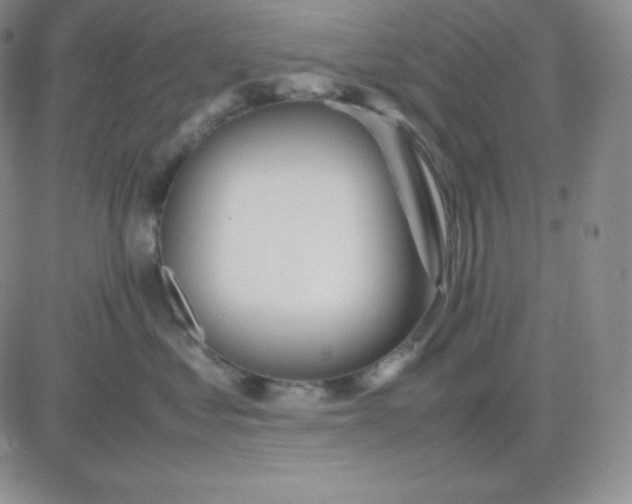 X0000081310621200701251744