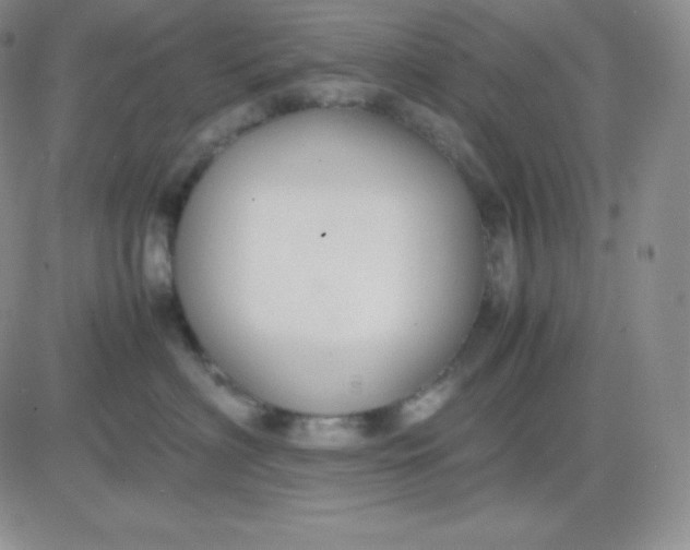 X0000081310622200701251744