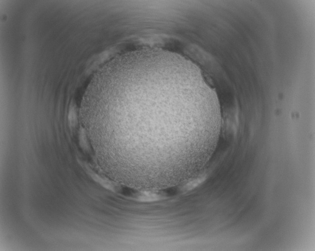 X0000081310623200701251744