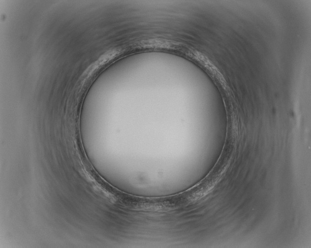 X0000081310625200701251743