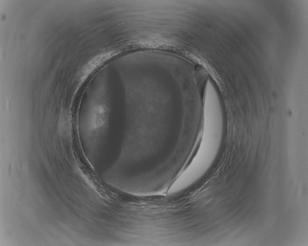 X0000081310626200701251744