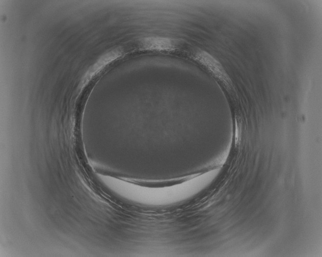 X0000081310627200701251744