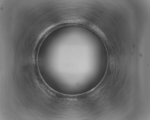 X0000081310628200701251744