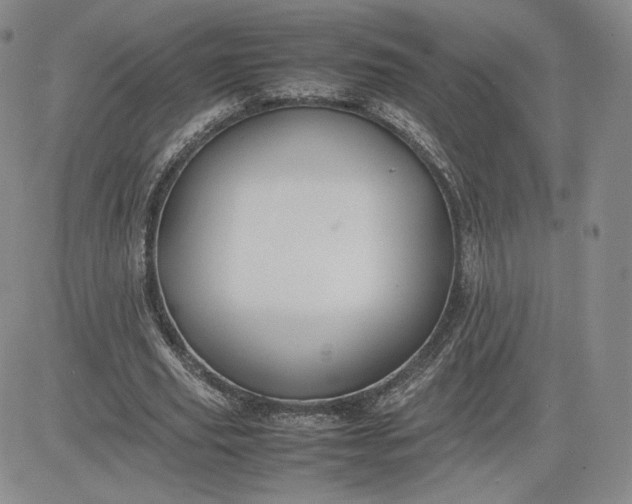 X0000081310629200701251744