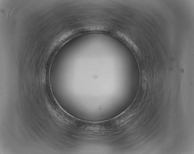 X0000081310631200701251744