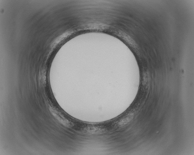 X0000081310632200701251744