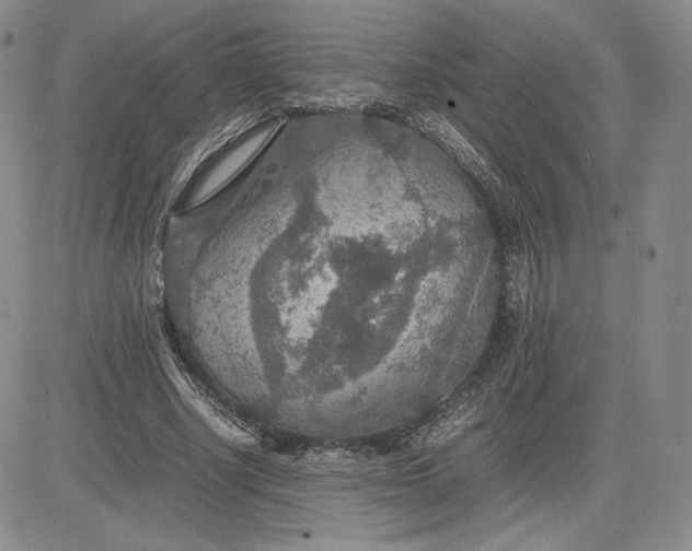 X0000081310634200701251744