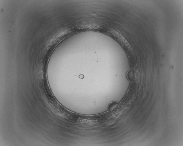 X0000081310635200701251744