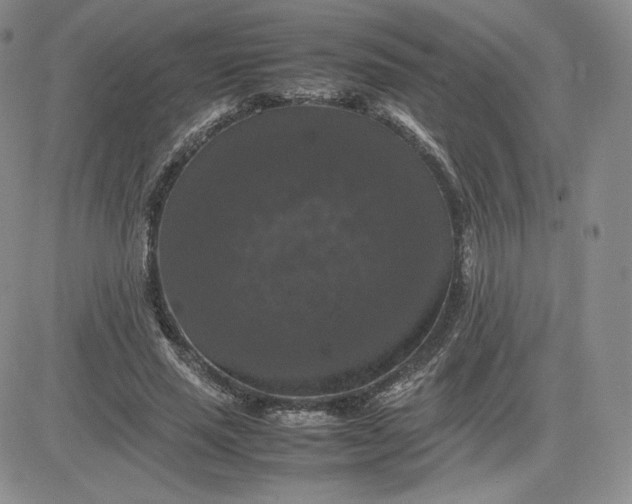 X0000081310637200701251744