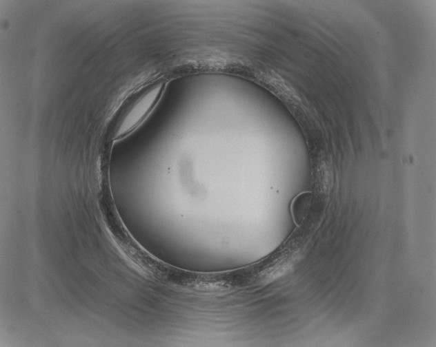 X0000081310638200701251744