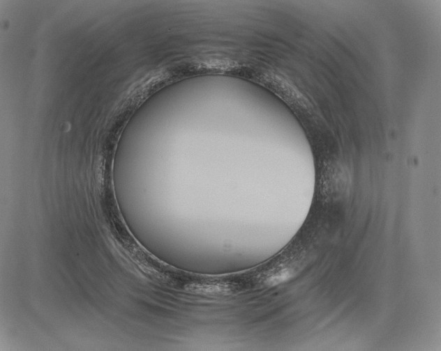 X0000081310639200701251744