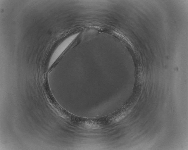 X0000081310641200701251744