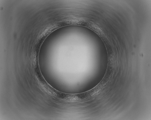 X0000081310642200701251744