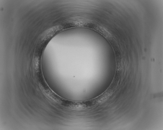 X0000081310646200701251744