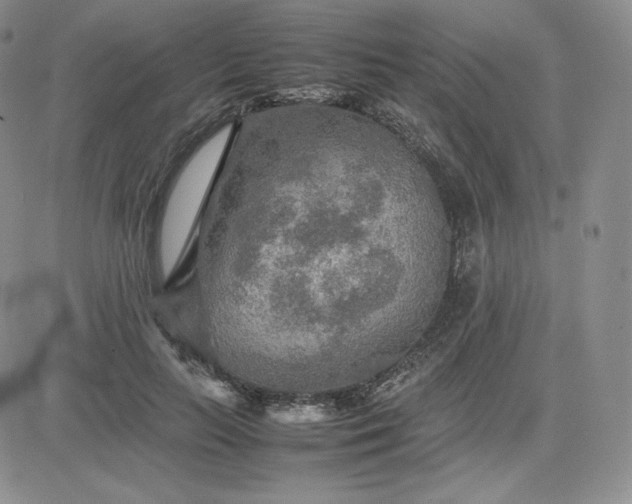 X0000081310647200701251744