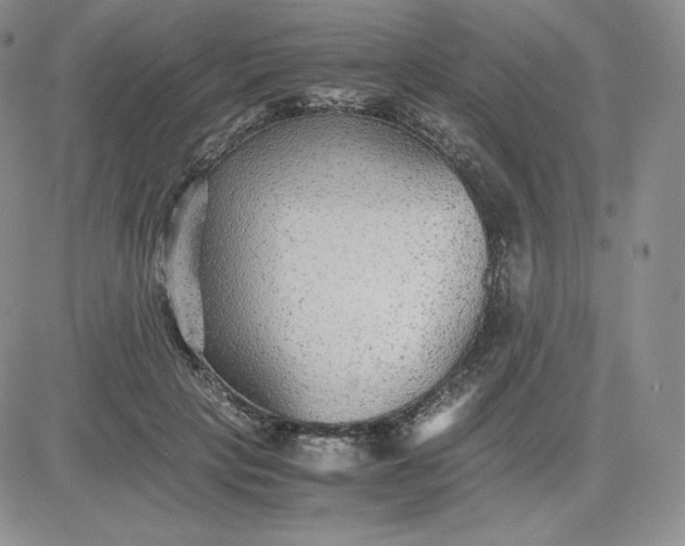 X0000081310649200701251744