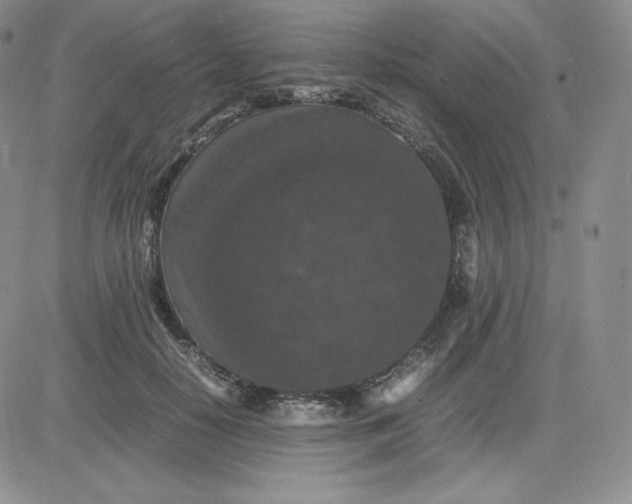 X0000081310650200701251744