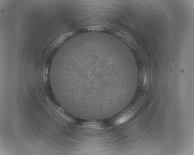 X0000081310652200701251744