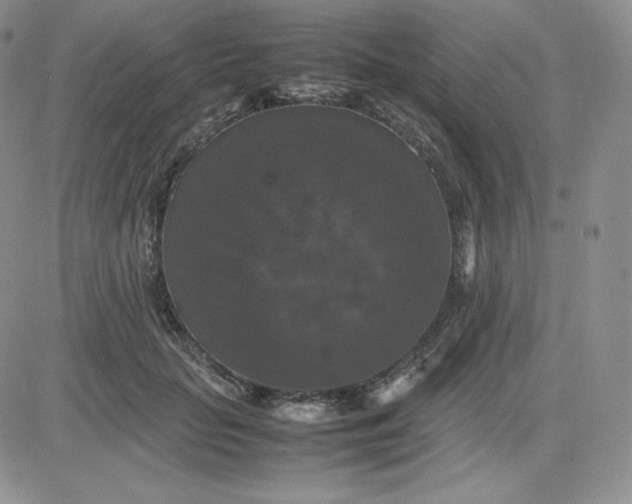 X0000081310653200701251744