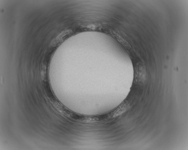 X0000081310656200701251744