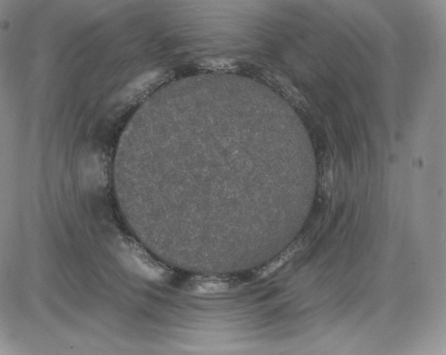 X0000081310658200701251744