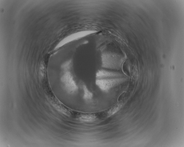 X0000081310659200701251744