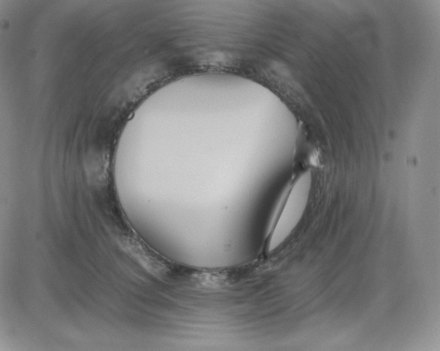 X0000081310660200701251744