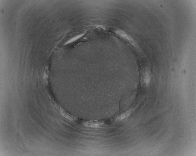 X0000081310661200701251744