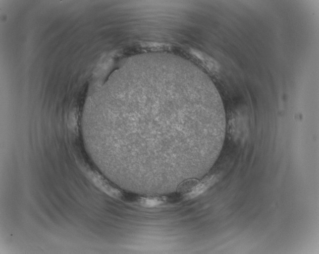 X0000081310662200701251744