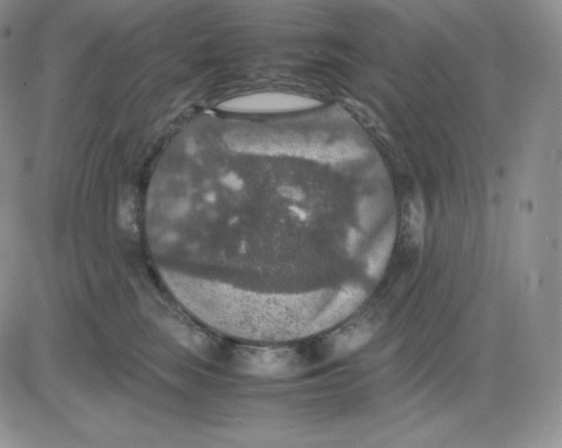 X0000081310663200701251744