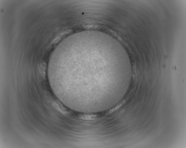 X0000081310664200701251744