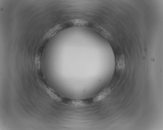 X0000081310666200701251744