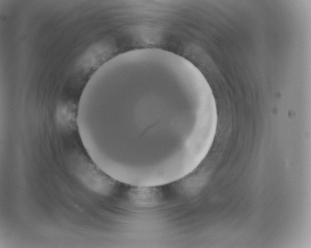 X0000081310672200701251744