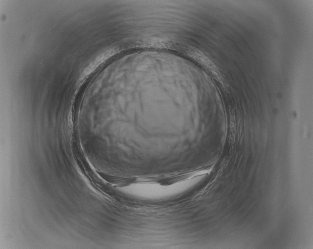 X0000081310674200701251743