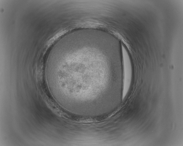 X0000081310675200701251743