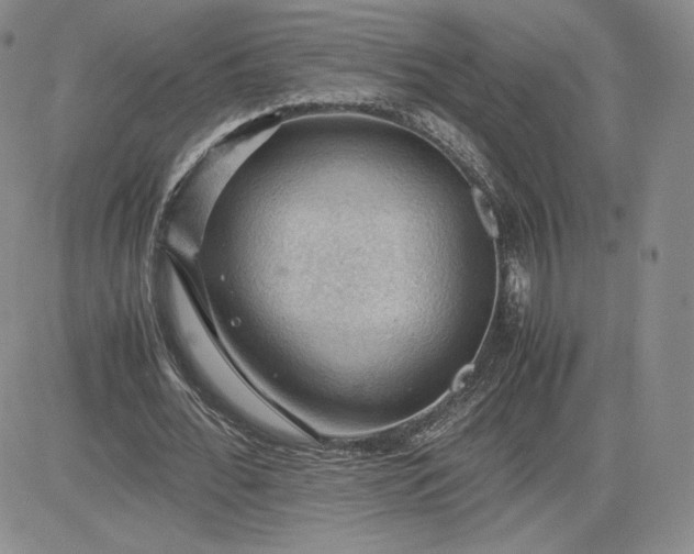 X0000081310676200701251743