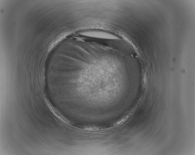 X0000081310677200701251743