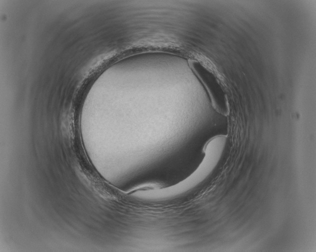 X0000081310680200701251743