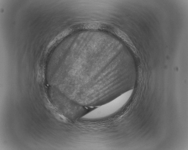 X0000081310681200701251743