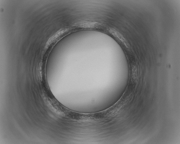 X0000081310682200701251743