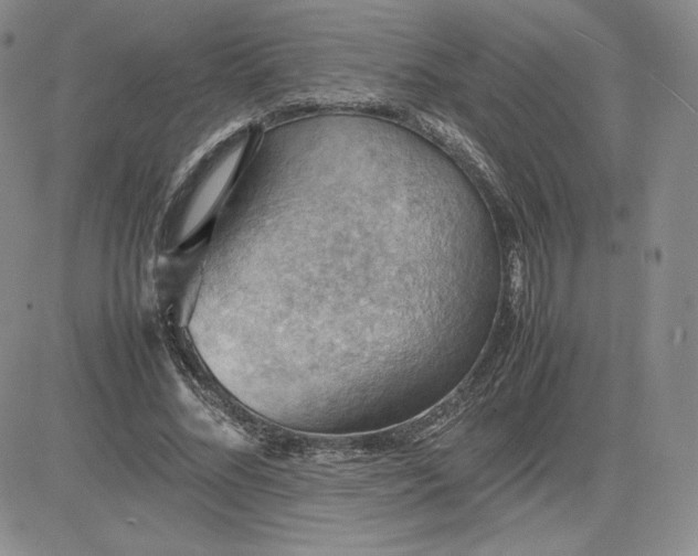 X0000081310684200701251743