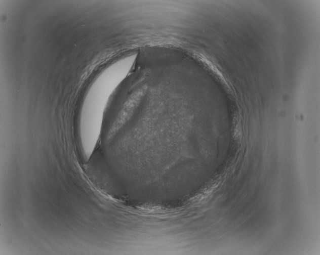 X0000081310685200701251743