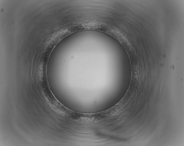 X0000081310690200701251743