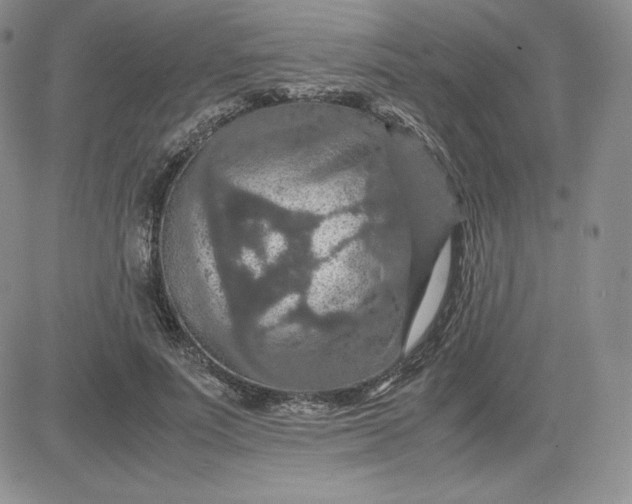 X0000081310691200701251743