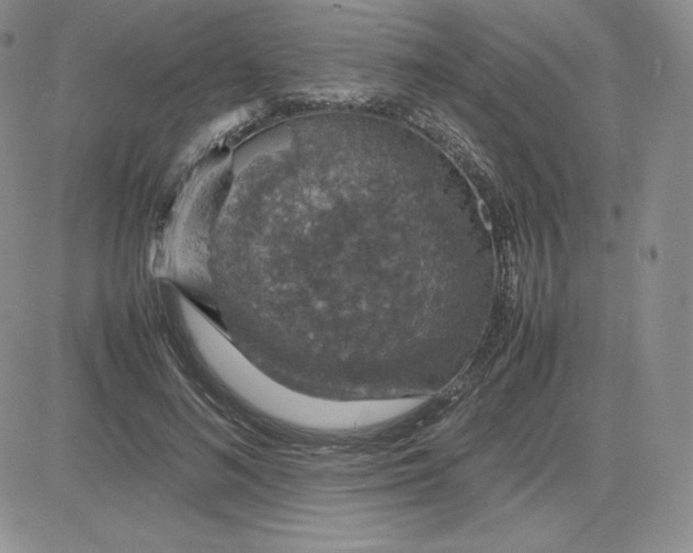 X0000081310692200701251743