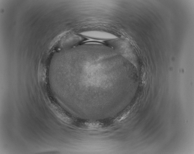 X0000081310693200701251743